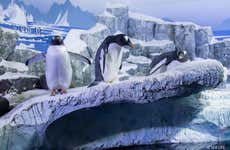 Biglietti per il SEA LIFE® Costanza