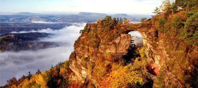 Excursión al Parque Nacional de la Suiza Sajona y Bohemia