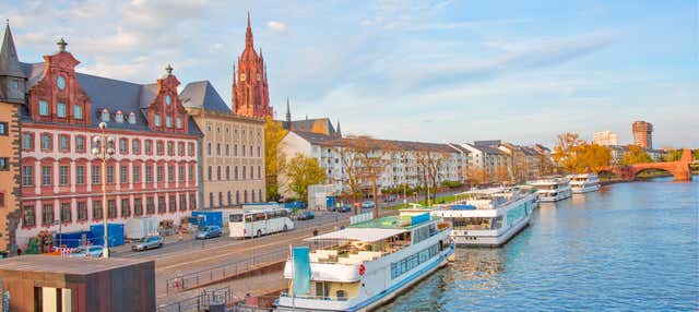 Tour panorámico por Frankfurt