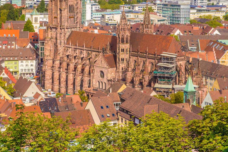 Tour privado por Friburgo de Brisgovia Reserva en