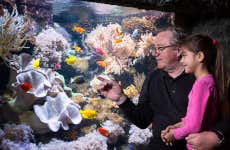 Ingresso do SEA LIFE® Konigswinter