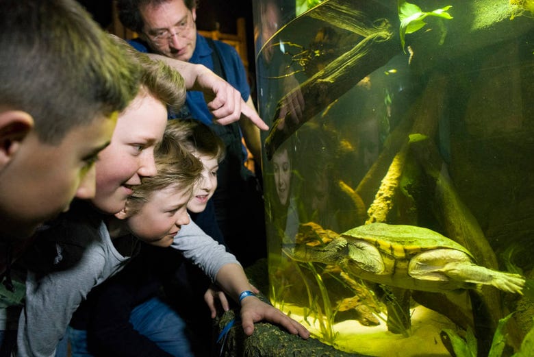 Niños observando a una tortuga en SEA LIFE Munich