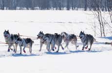 Balade en chiens de traîneau à Grandvalira