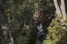 Zipline on Cerro López