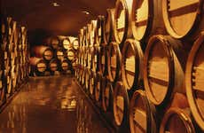 Tour por el Valle de Calingasta + Cata de vinos