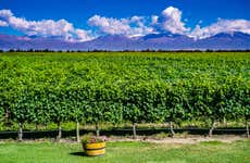 Excursão privada às adegas de Mendoza