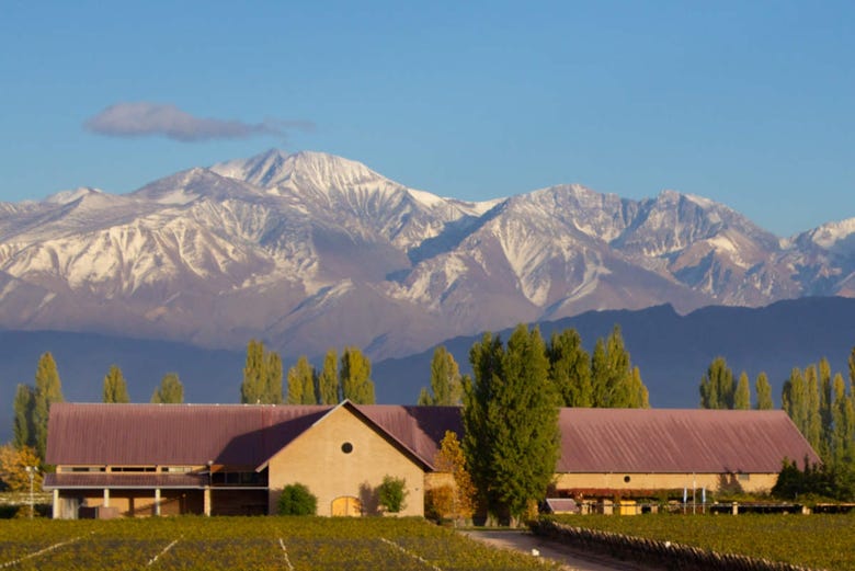 A winery in Mendoza
