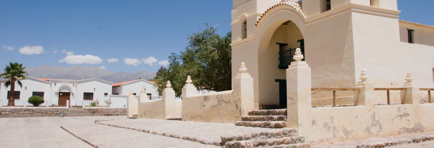 Excursión a Molinos y Cachi