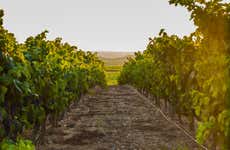 Excursión por las bodegas del Valle de Traslasierra