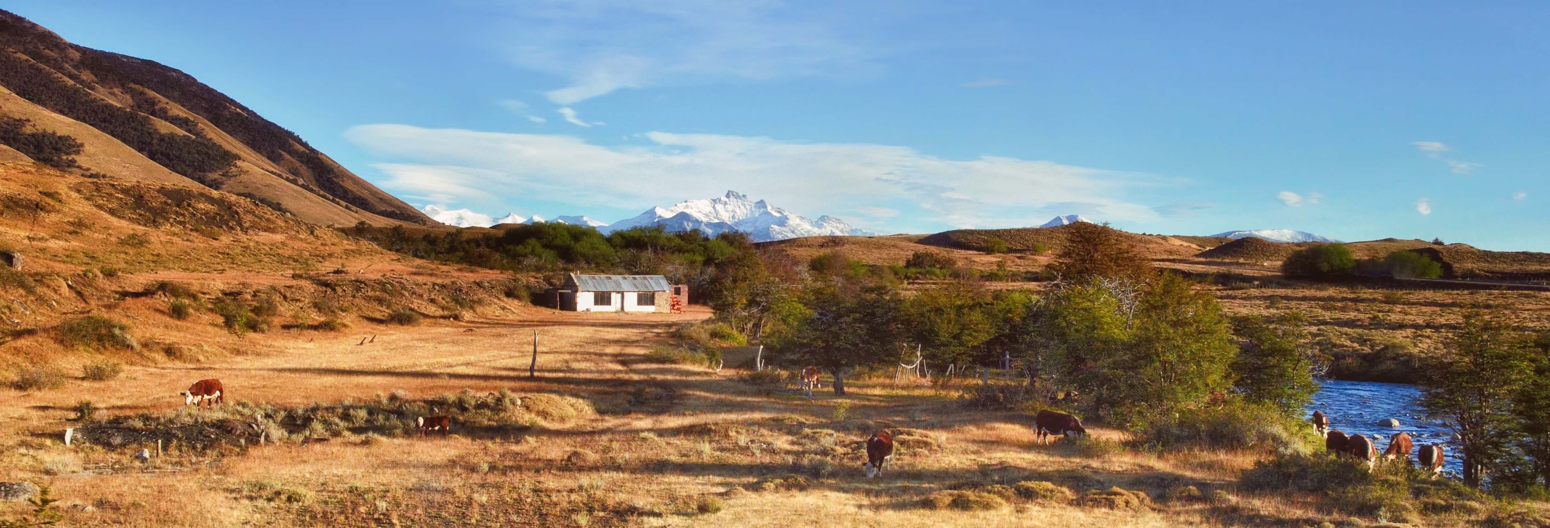 Escursione alla Estancia El Galpón