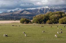Excursión a Trevelin y Futaleufú