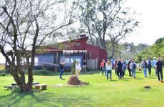 Tour por los esteros del Iberá