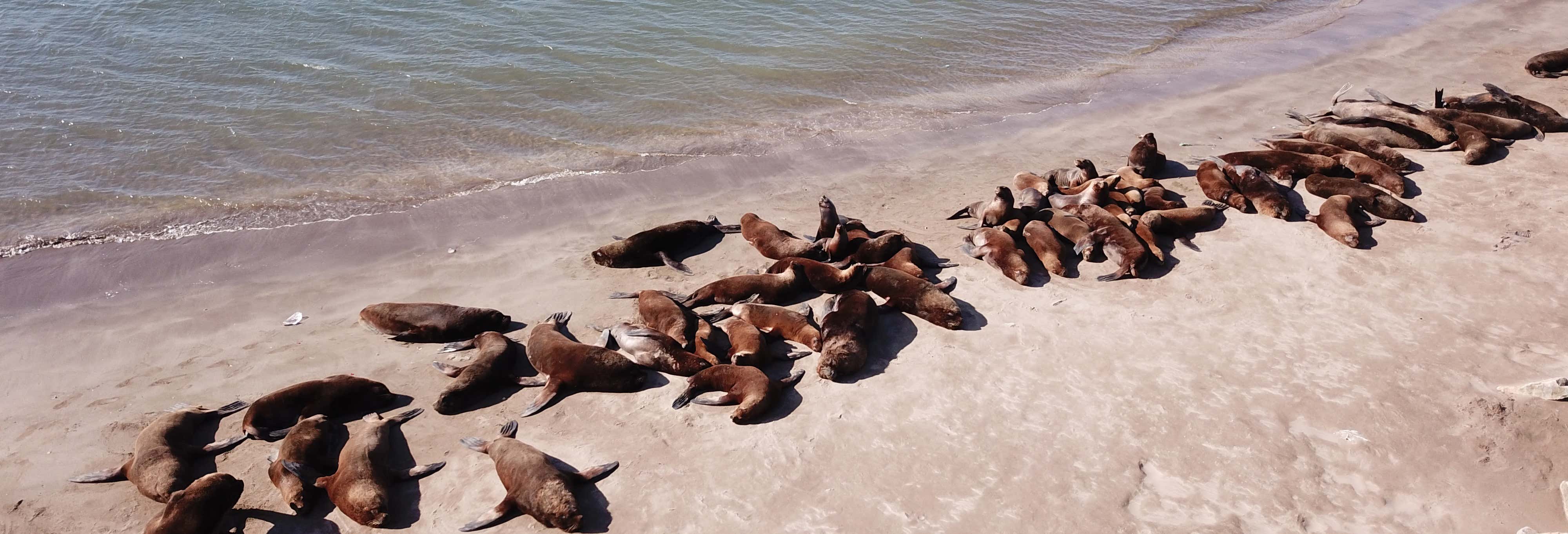 Paseo en barco por Mar del Plata
