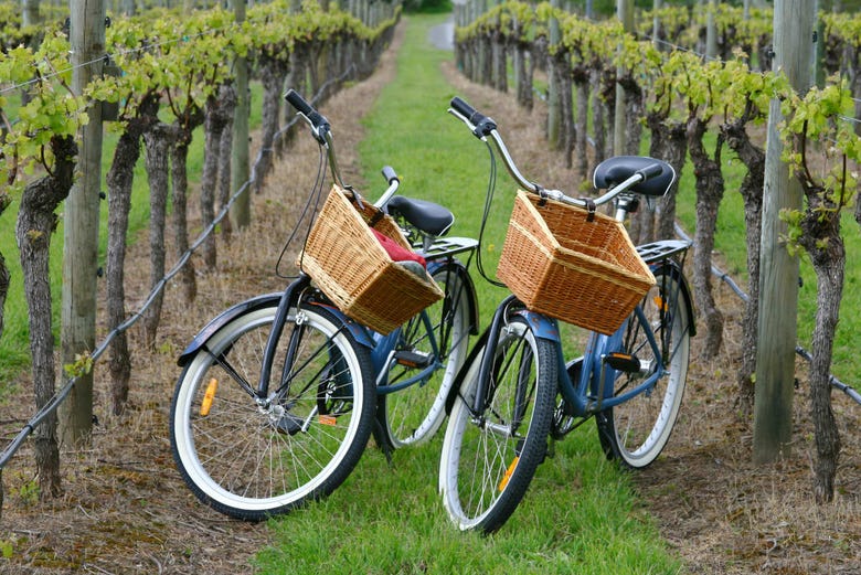 Bicicletas em Maipú 