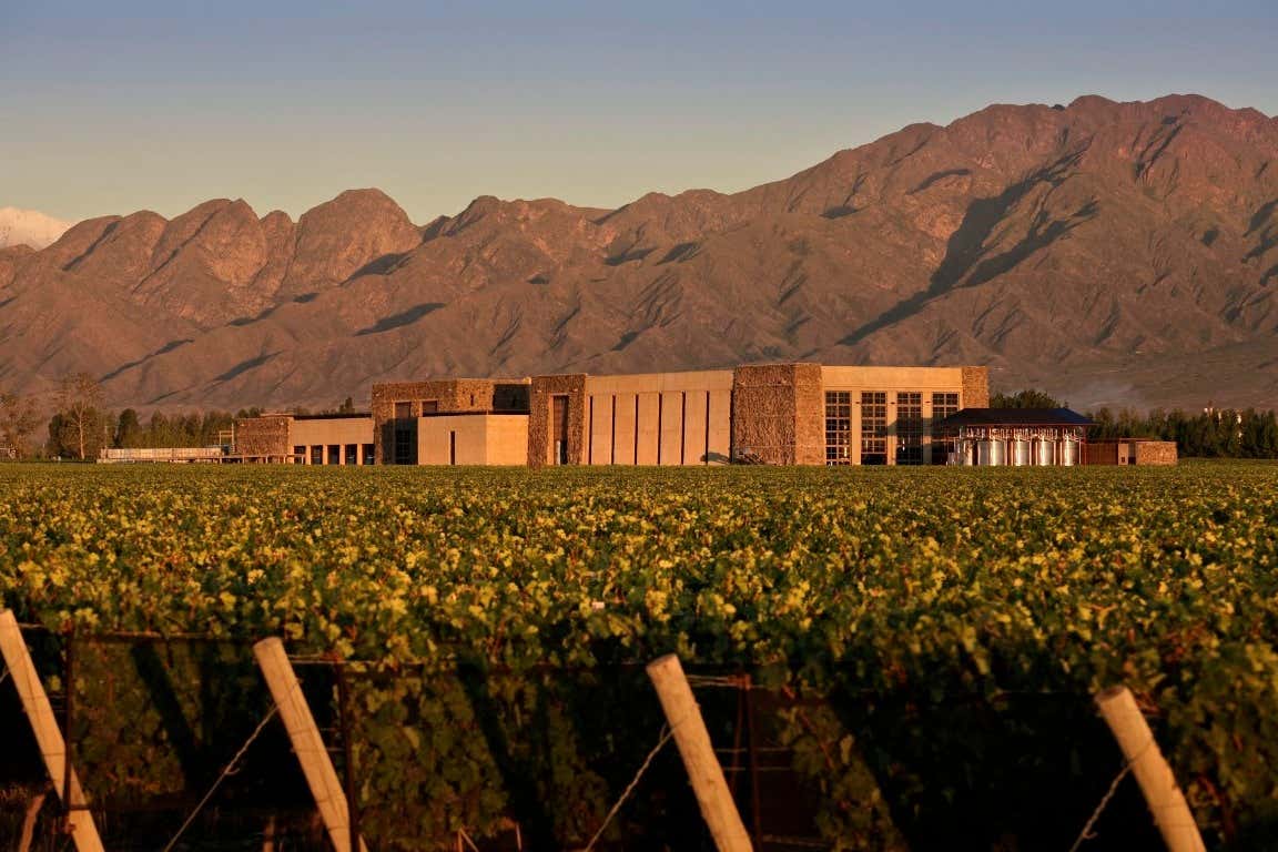 Tour privado por las bodegas de Luján de Cuyo desde Mendoza