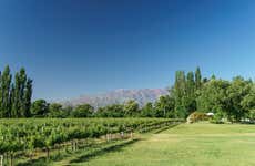 Tour privado por las bodegas del valle de Uco