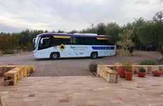 Tour pela zona vitivinícola de Luján de Cuyo