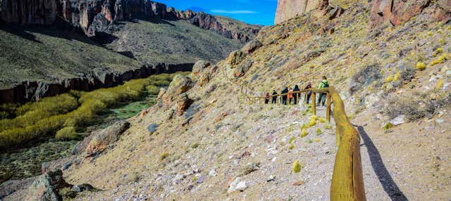 Excursión a la Cueva de las Manos + Trekking