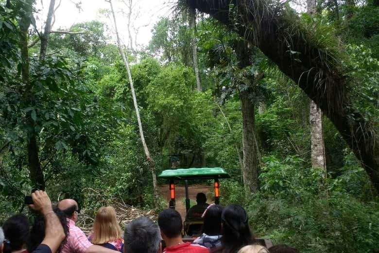 Excursión al refugio de animales silvestres Güirá Oga desde Puerto Iguazú