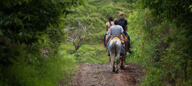 Horseback Ride Guarani Village Tour From Puerto Iguazu