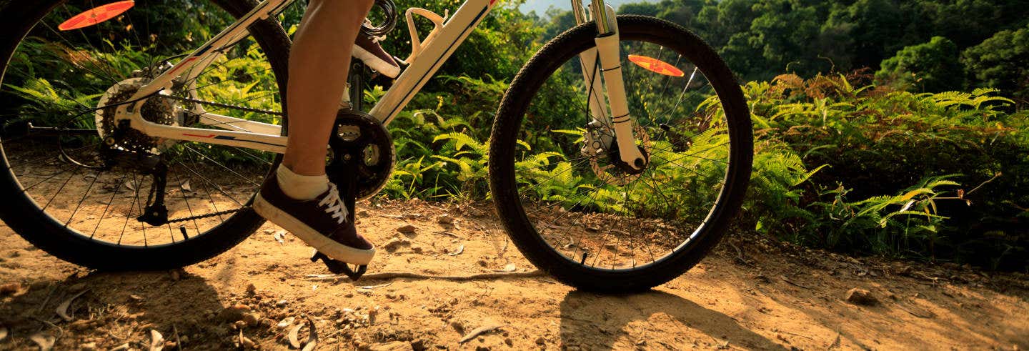Tour en bicicleta por Foz de Iguazú