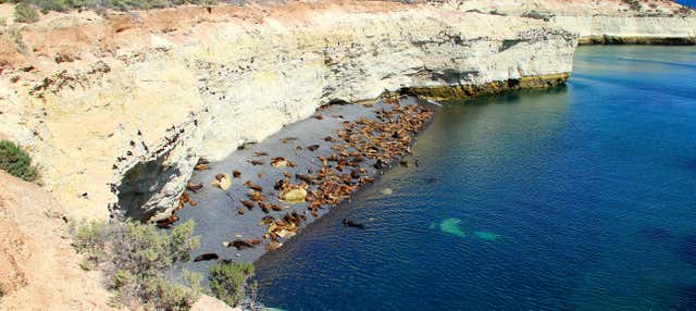 Punta Loma Sea Lion Tour