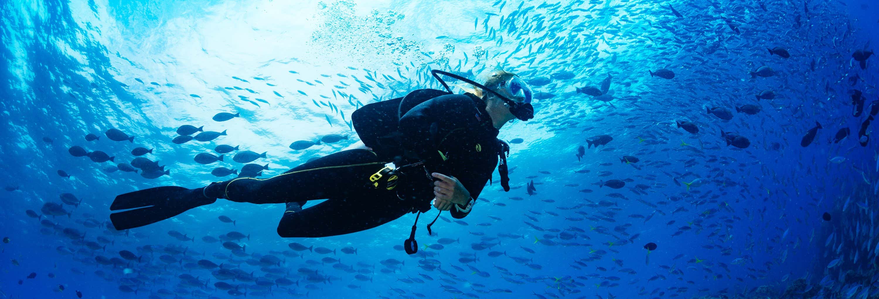 Bautismo de buceo en Puerto Madryn