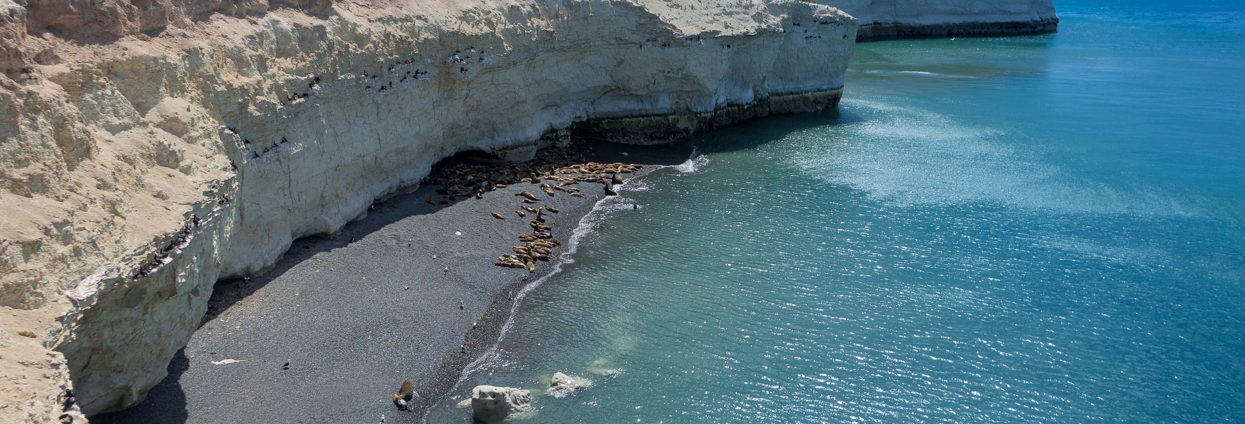 Excursión a Punta Loma y Cerro Avanzado