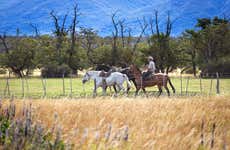 Passeggiata a cavallo fino a El Naranjo