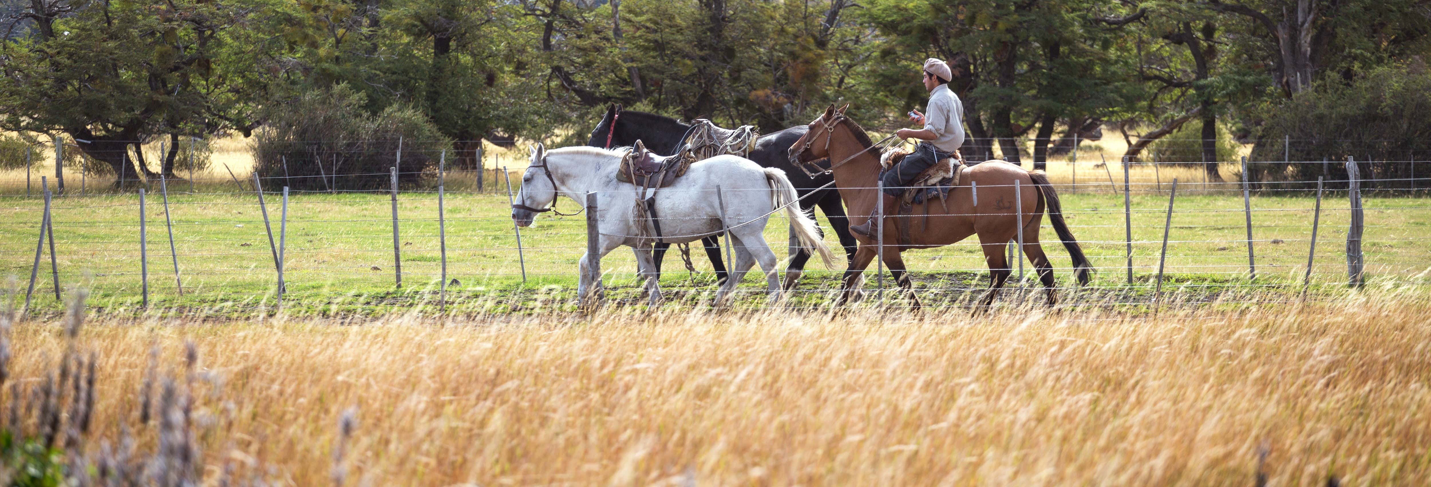 Paseo a caballo hasta El Naranjo