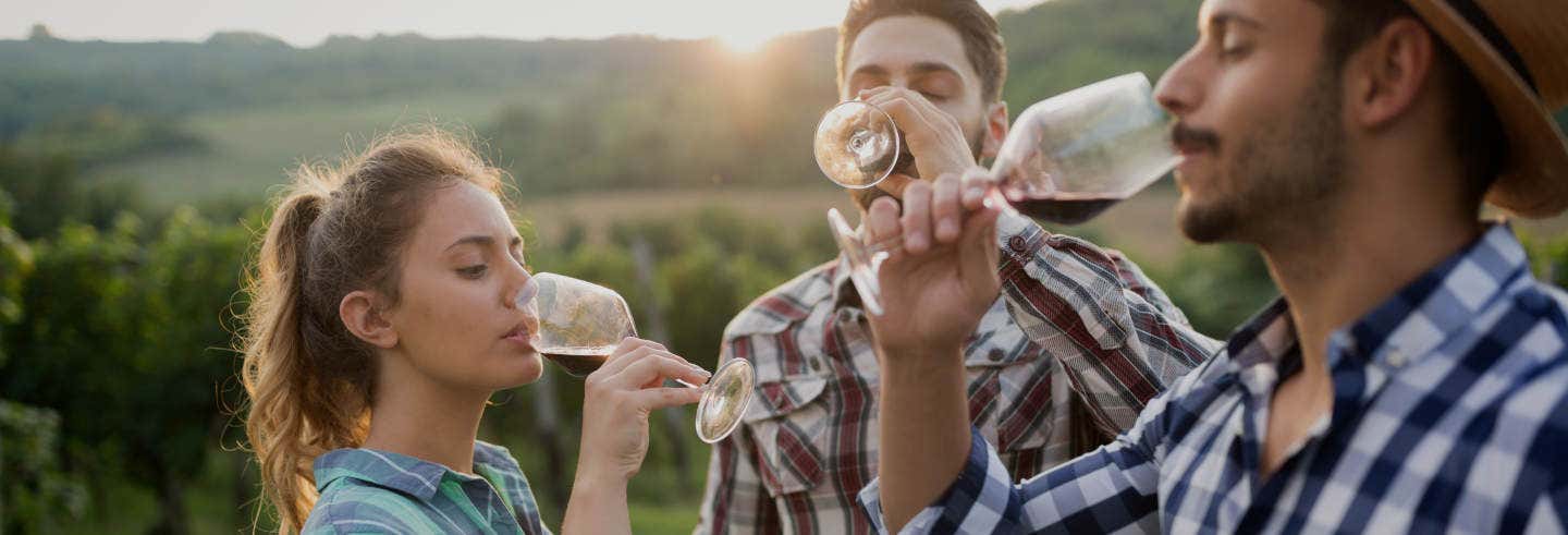 Excursión a una bodega de Victoria