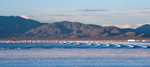 Excursión a las Salinas Grandes + Trekking por Los Colorados