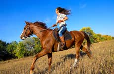 San Lorenzo Horseback Ride