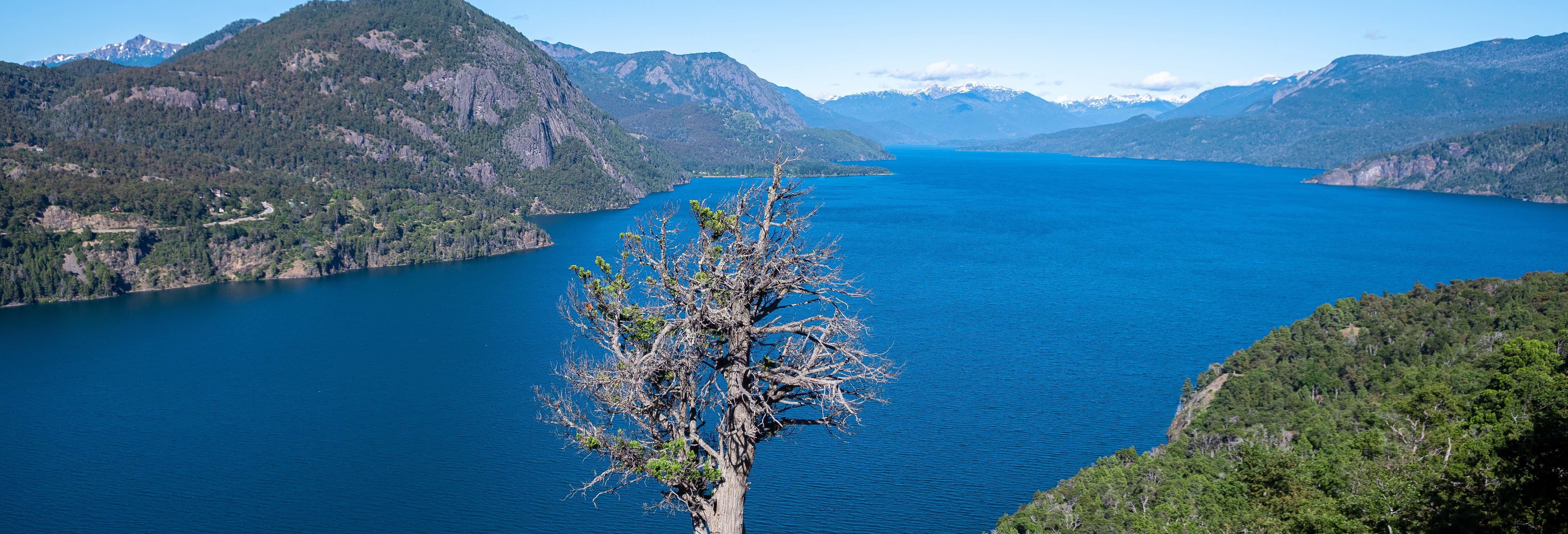 Excursión a Villa Quila Quina y comunidades mapuches