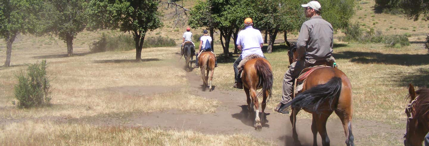 Paseo a caballo por las comunidades mapuches