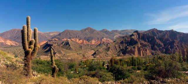 Excursão a Tafí del Valle, ruínas de Quilmes e Cafayate