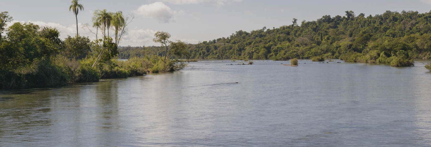 Paseo en barco por los ríos Santa Fe y Colastiné