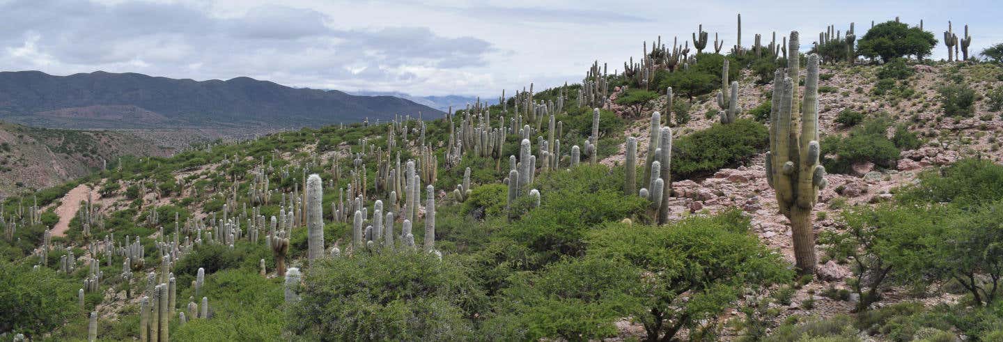 Excursión a la Quebrada de Sapagua + Comunidad de Hornaditas