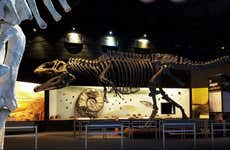 The Paleontological Museum Ticket