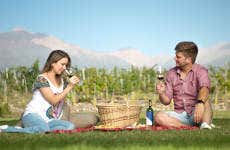 Visite du domaine viticole Solo Contigo