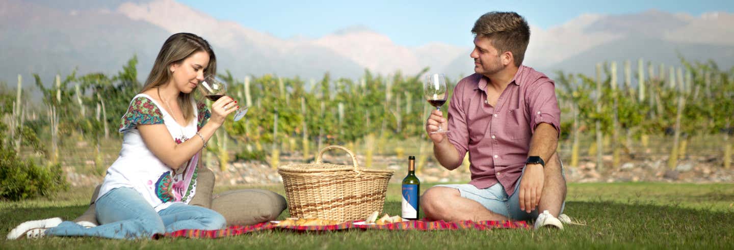 Visita a la bodega Solo Contigo
