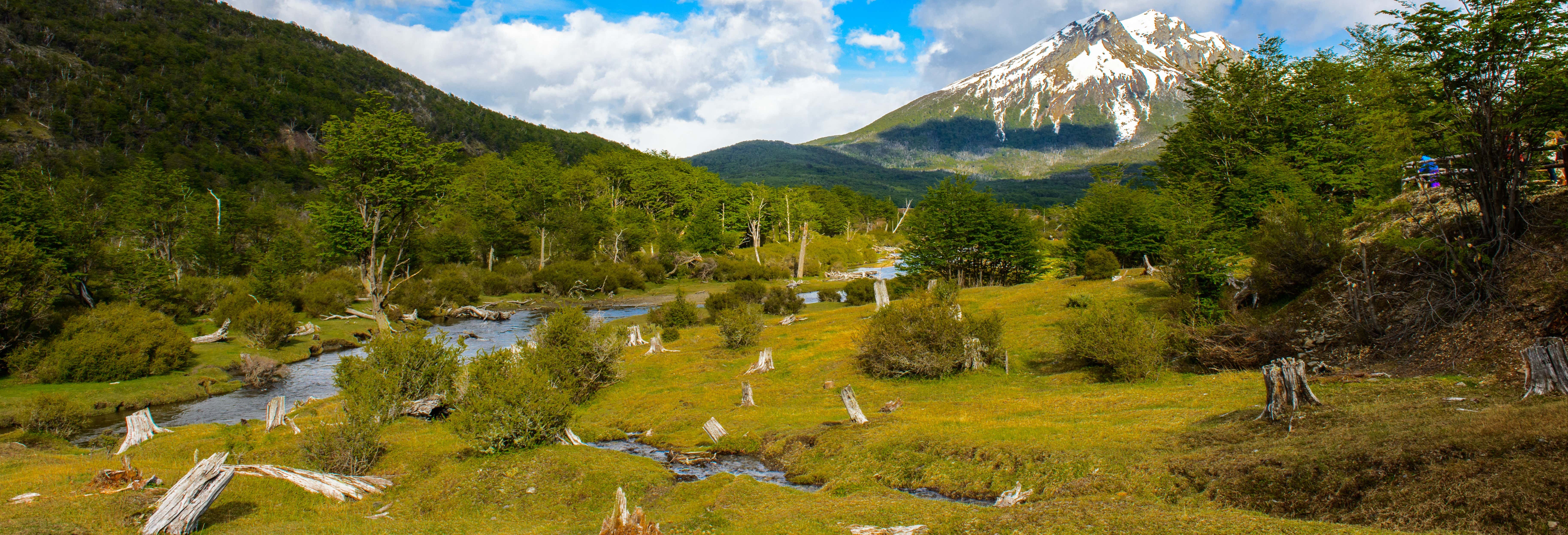 Excursión privada desde Ushuaia