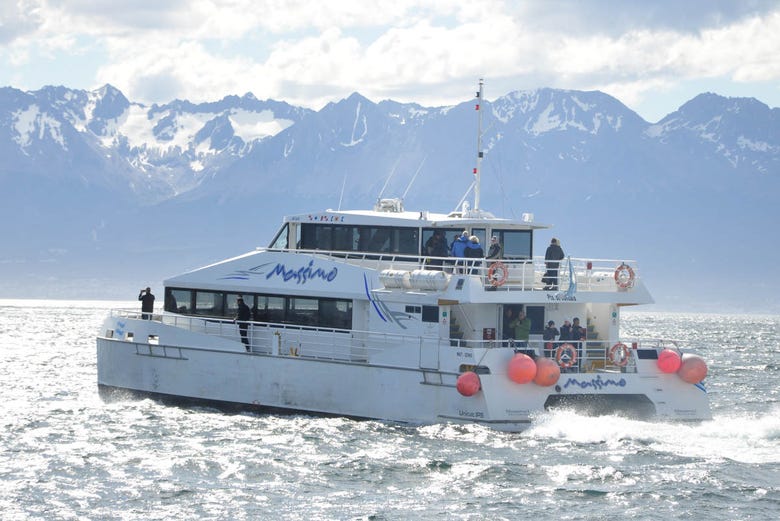 Boat trip on the Beagle Channel