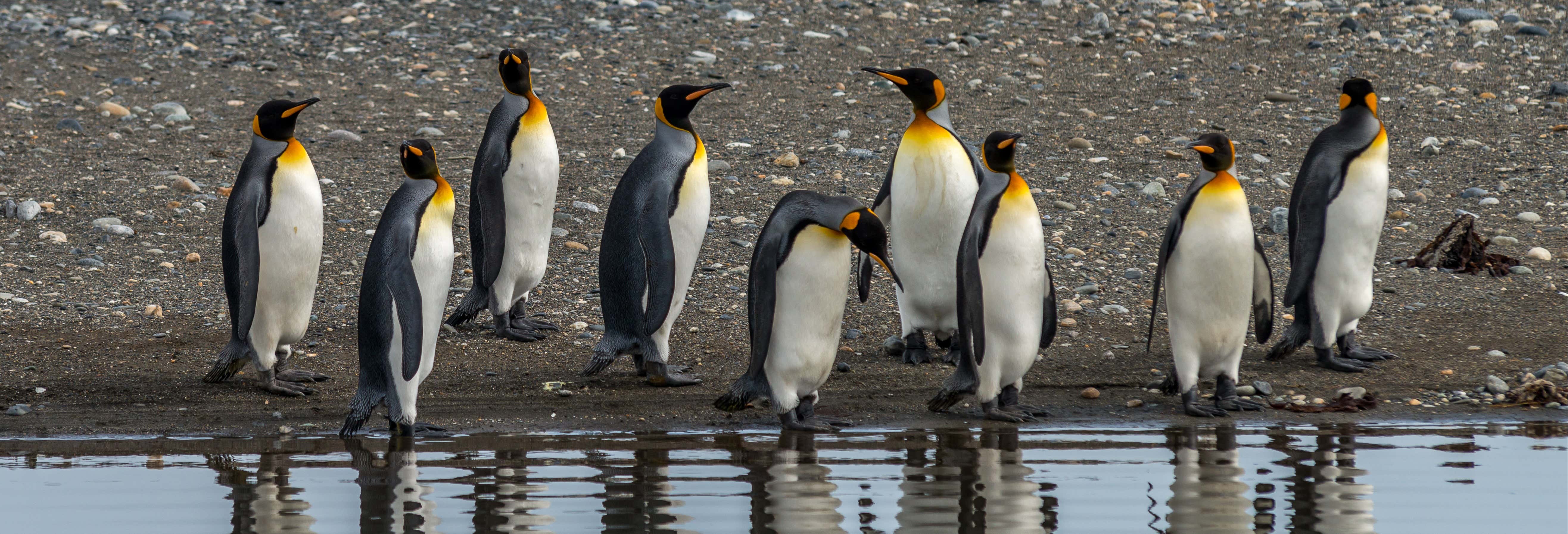 Tour de 4 días por Isla Grande de Tierra del Fuego