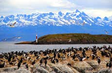 Beagle Channel Yacht Cruise & Bridges Island Trek