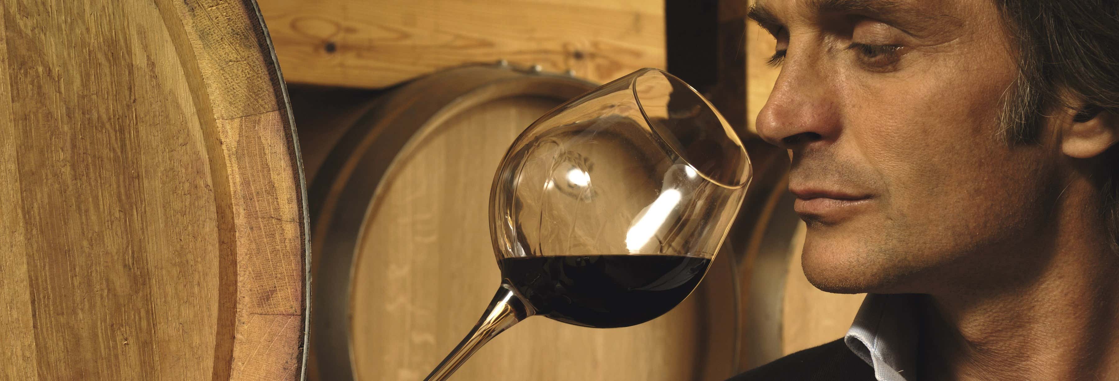 Visita a la bodega Corrales Vier