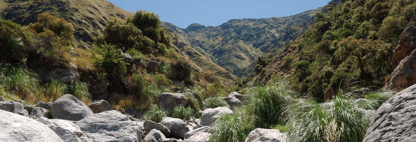Excursión a las Sierras de Comechingones