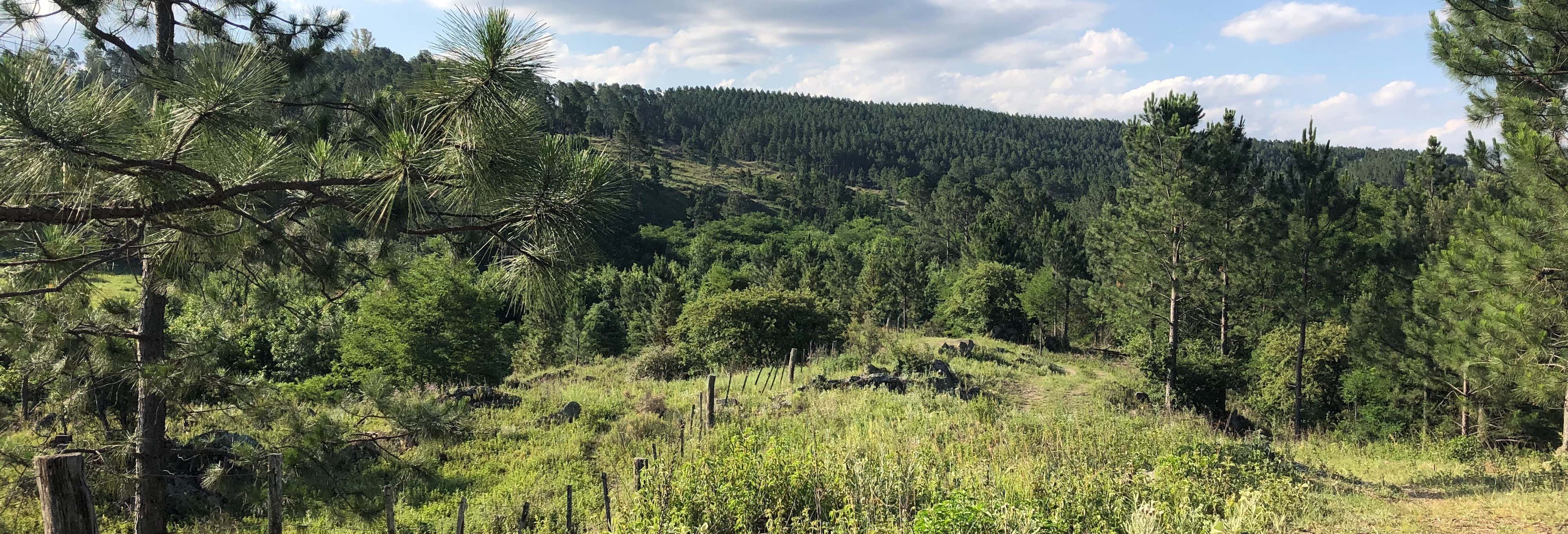 Tres Cascadas Hike