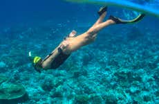 Snorkeling au barrage de Punta Negra