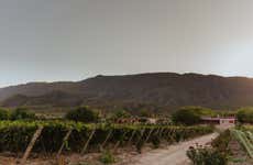 Visita à adega Finca Sierras Azules